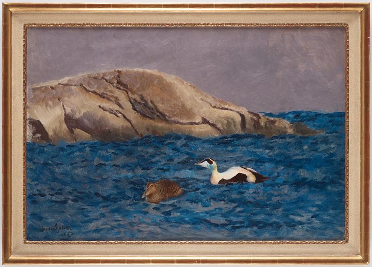 Bruno Liljefors, Eiders on a skerry.