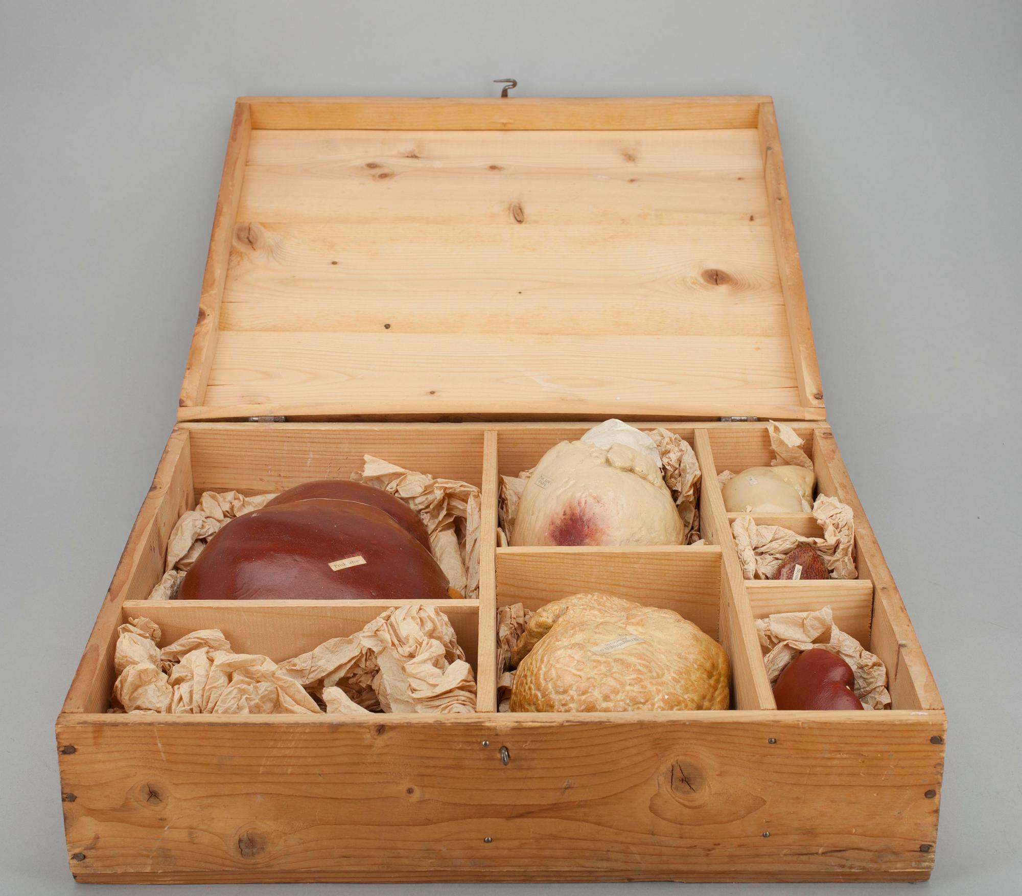 ANATOMISKA MODELLER, 6 st, keramik, inre organ, sekelskiftet 1800/1900-tal.