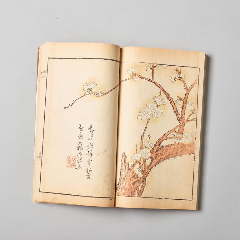 The Mustard Seed Garden Manual of Painting, Woodblock print, ink and colour on paper, Qing dynasty, 18th Century.