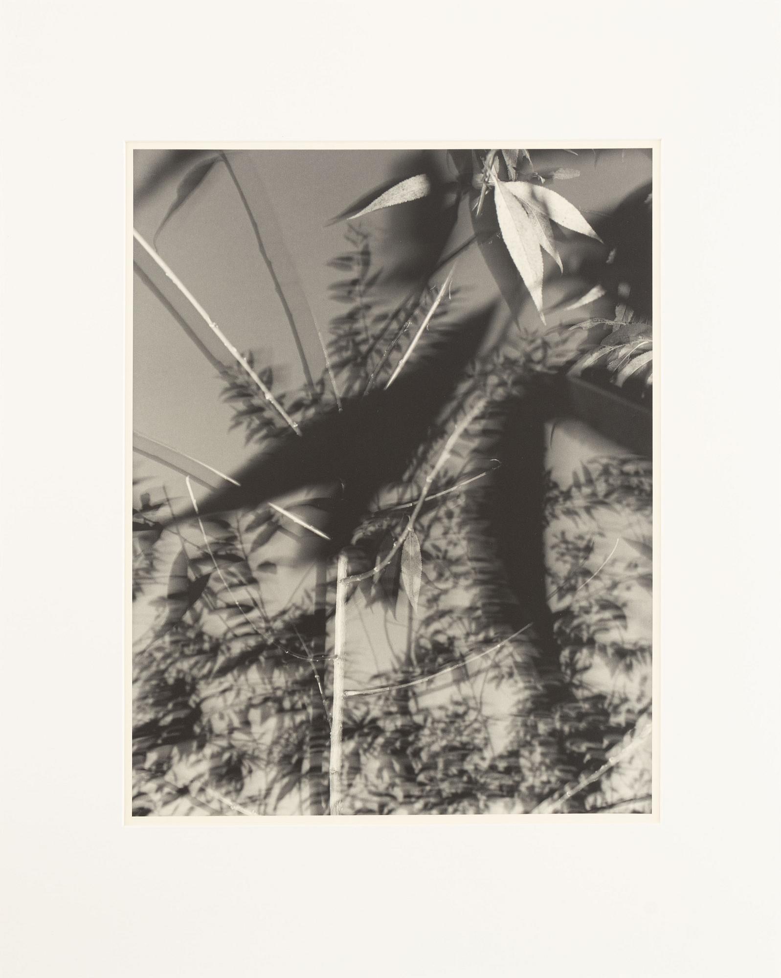 Åke E:son Lindman & Sven Westerlund, portfolio, 2 + 2 photos, signed 18/20.