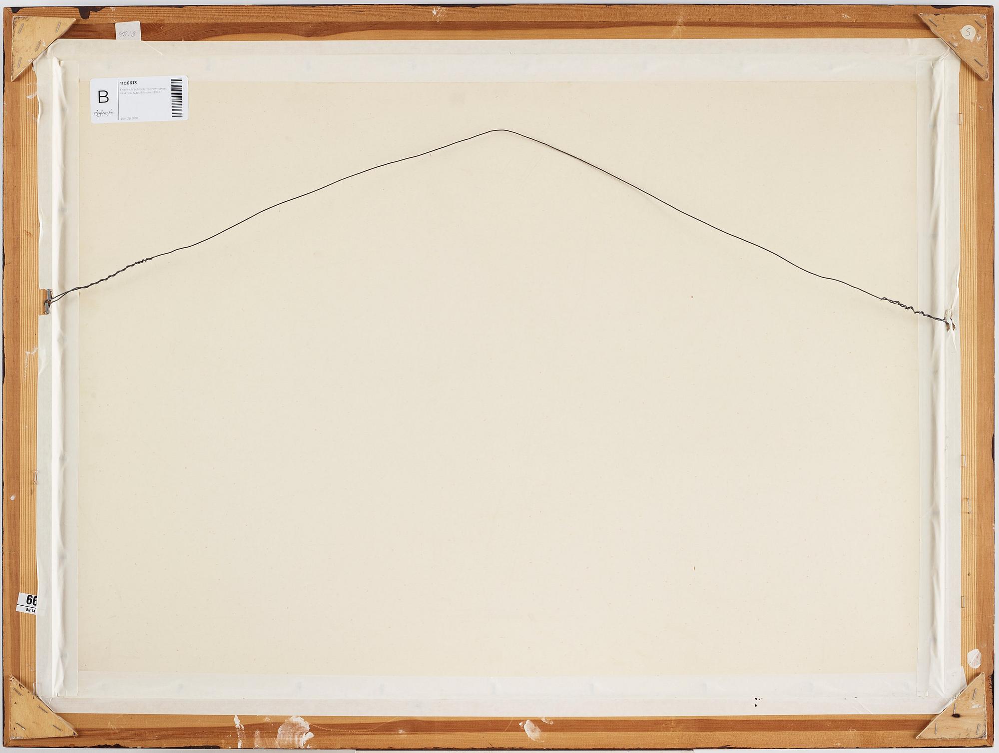 FRIEDRICH SCHRÖDER-SONNENSTERN, "Napullihnum".