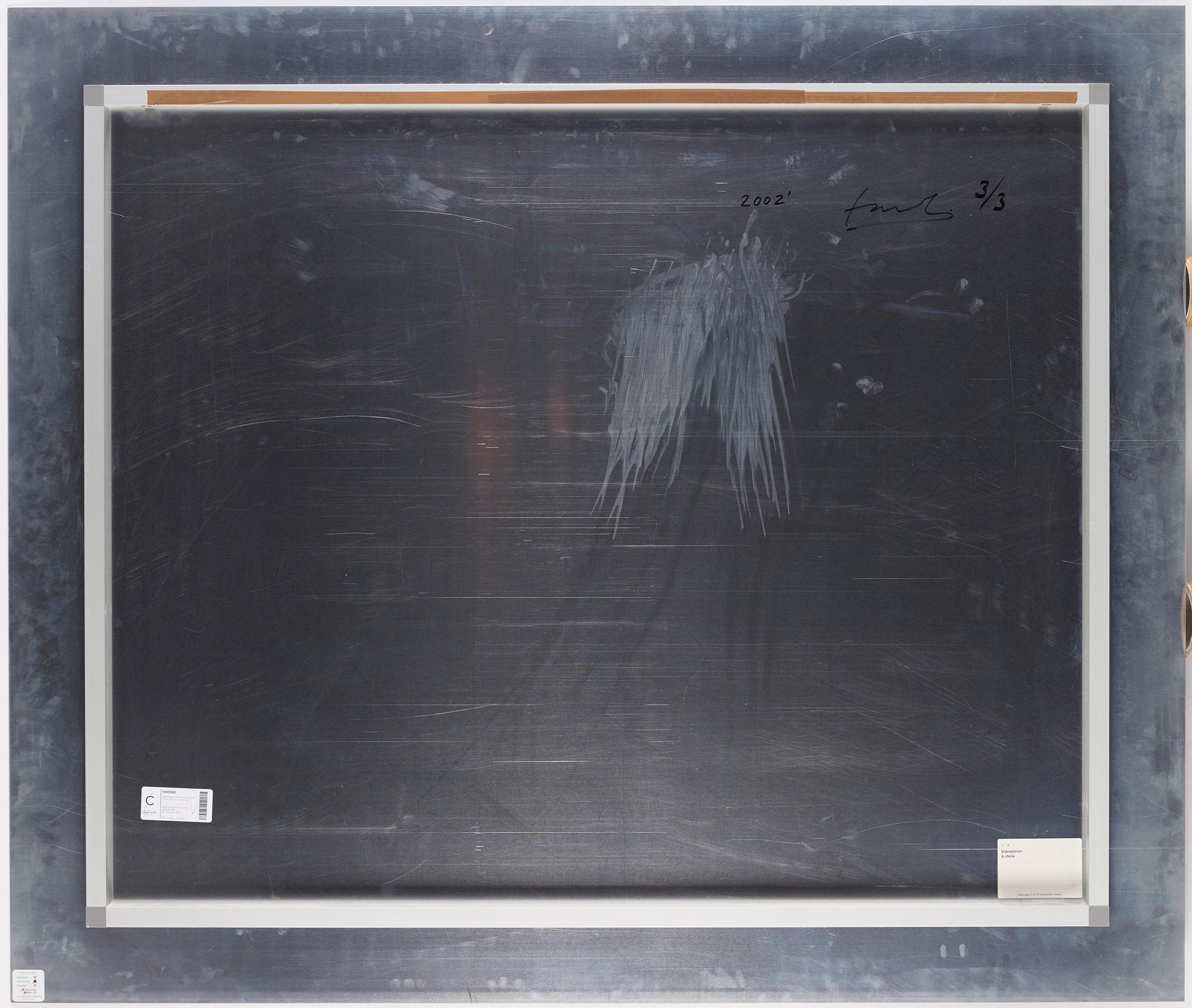 Juan Pedro Fabra Guemberena, "True Colours", 2002.