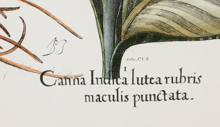 TAVLOR, 6 st, tryck, 1900-talets andra hälft.