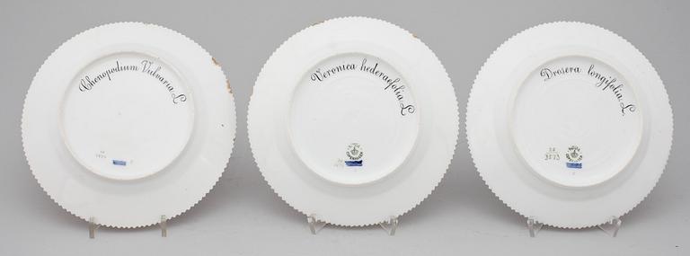 ASSIETTER, 6 stycken, porslin, "Flora Danica", Royal Copenhagen, 1900-talets första hälft.