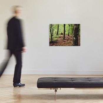 Sirous Namazi, "Flasher", 1997.