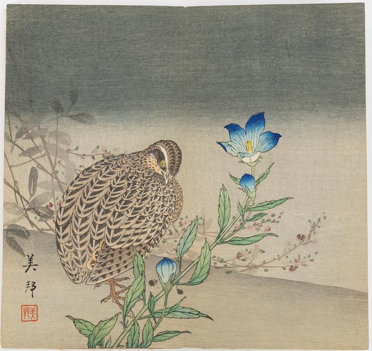 Bihō Takahashi (aktive around 1890-1930), album with 12 woodblock prints, publisher Heikichi Matsuki.
