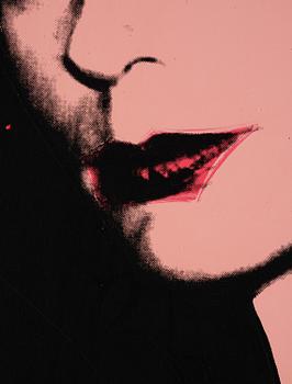Andy Warhol, Scandinavian Beauty II.