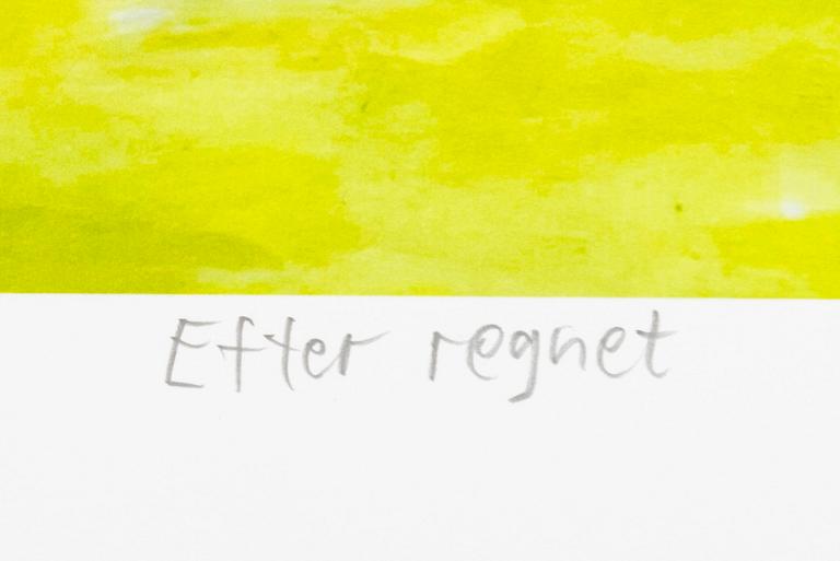 Carl Johan De Geer, "Efter regnet".