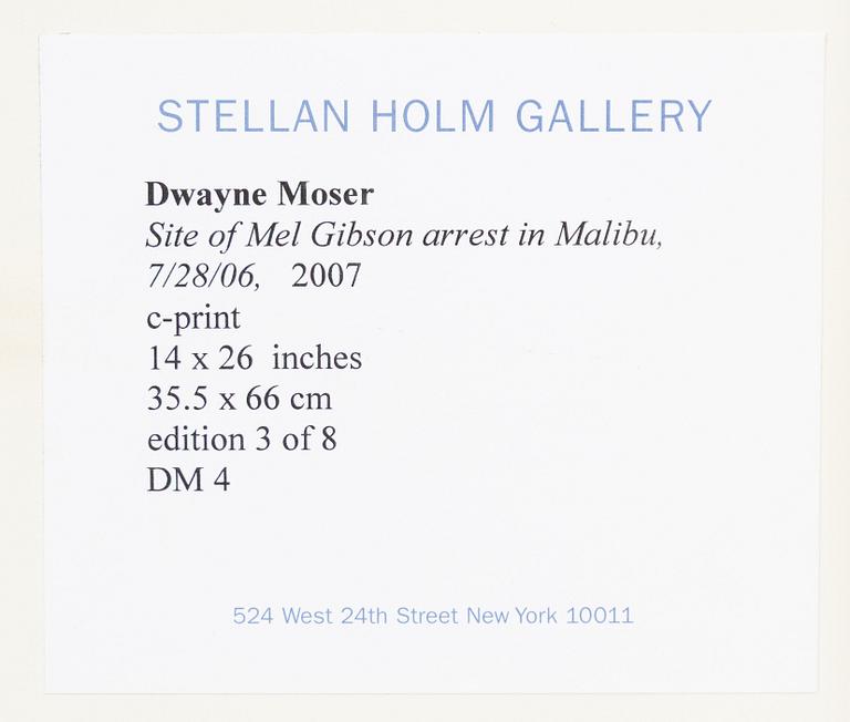 Dwayne Moser, "Untitled Backdrop (Site of Mel Gibson’s DUI arrest, 7/28/06)", 2007.