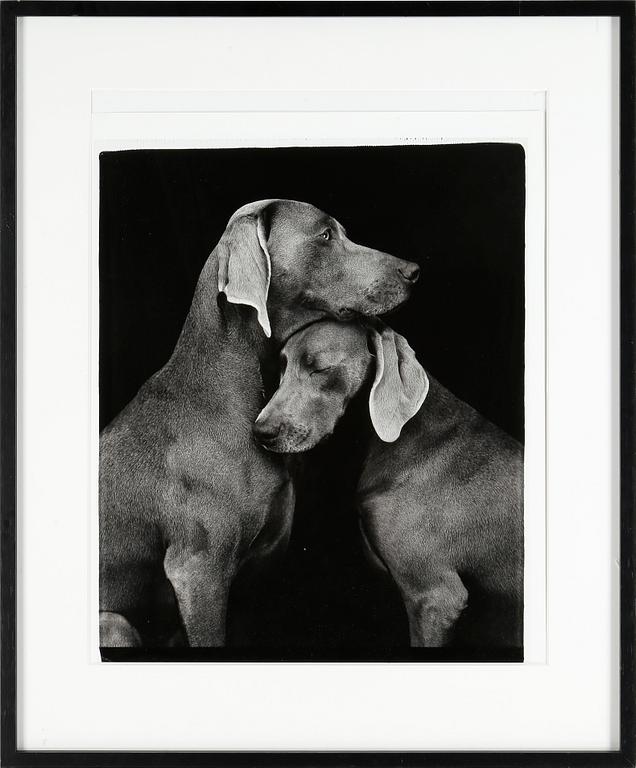 WILLIAM WEGMAN, fotografi, "Friends".