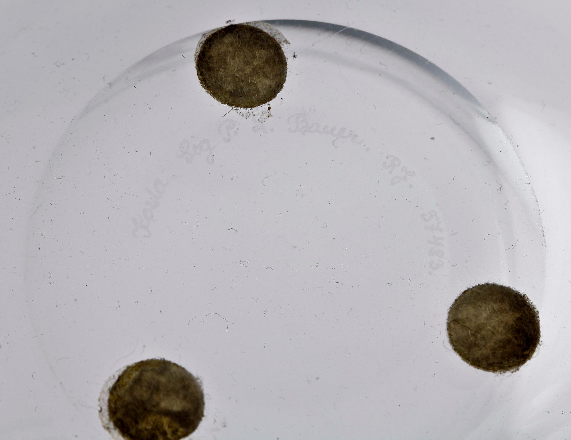 SKÅL, glas, Lisa Bauer Kosta.