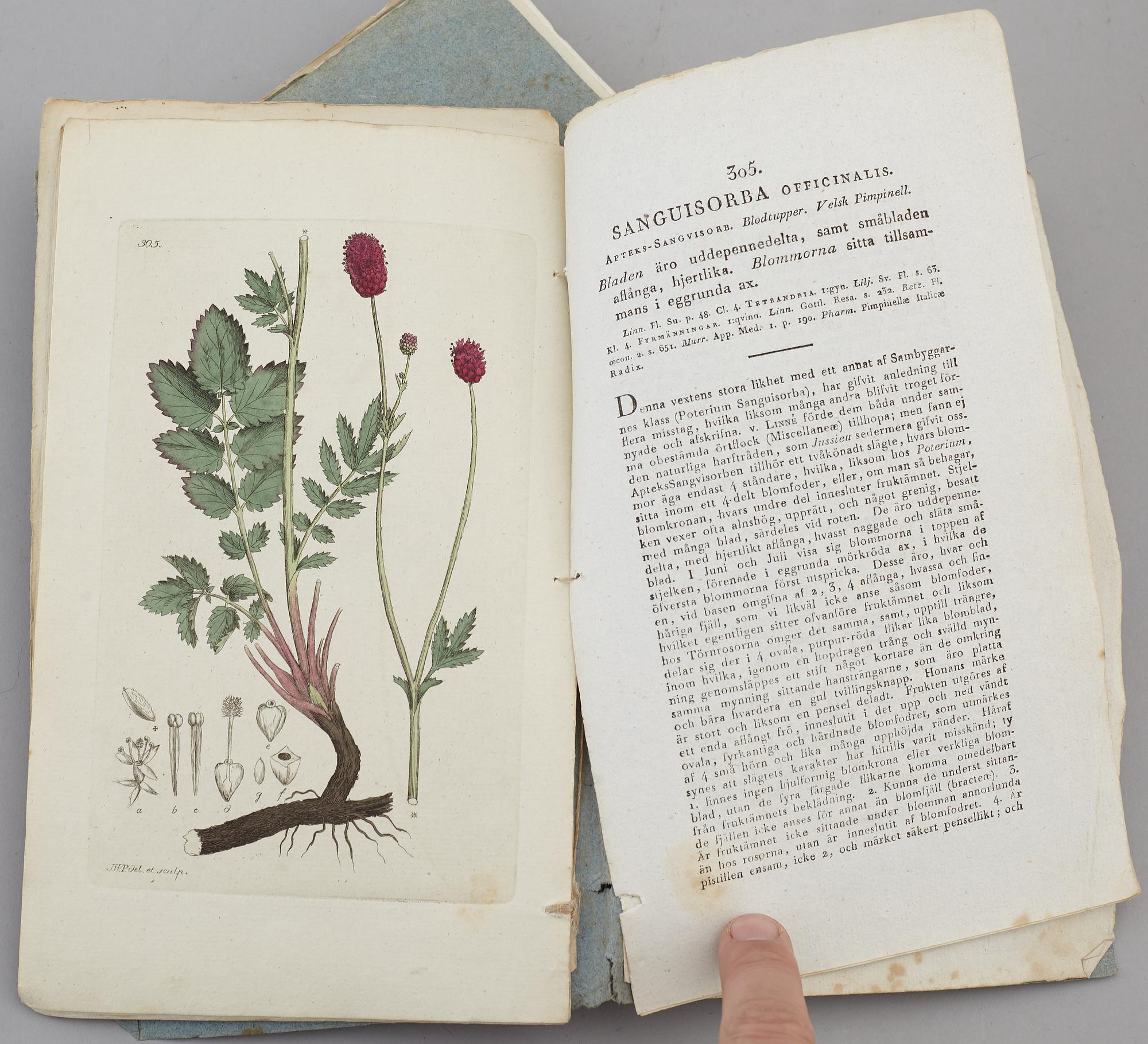 JOHAN WILHELM PALMSTRUCH, "Svensk Botanik, vol I-V. 1803-1805.
