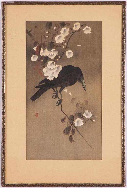 Ohara Koson, Korp med körsbärsblom.