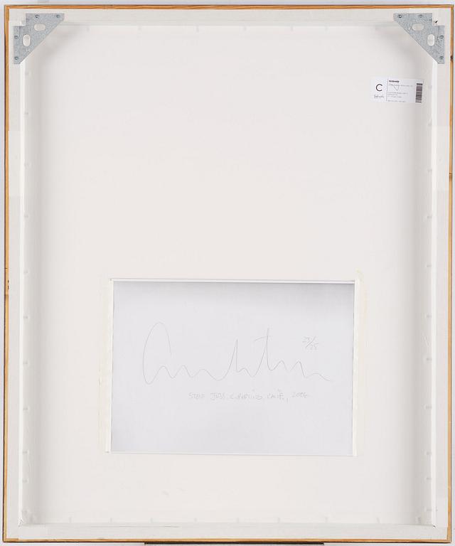 Albert Watson, "Steve Jobs, Cupertino, California", 2006.