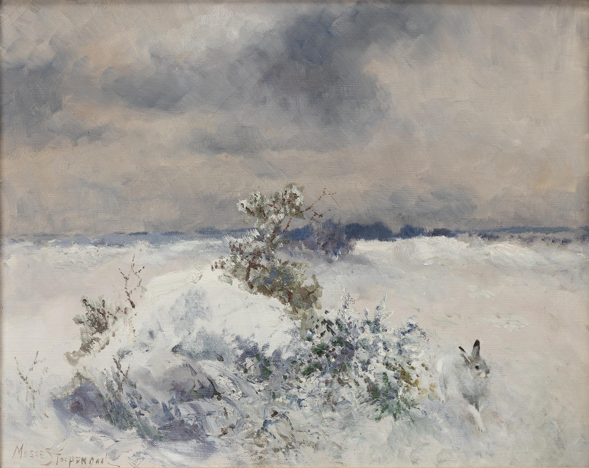 Mosse Stoopendaal, Hare i vinterlandskap.