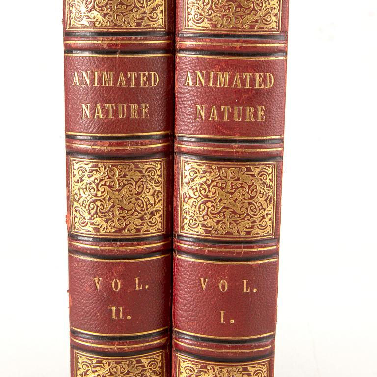 OLIVER GOLDSMITH 'A History of The Earth and Animated Nature' I-II, hand colored plates, c 1870.