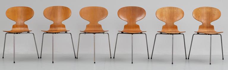 STOLAR, 6 st, "Myran", Arne Jacobsen, Fritz Hansen, första upplagan 1950-tal.