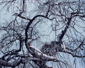 395. Maria Friberg, "Alongside Us #4", 2007.