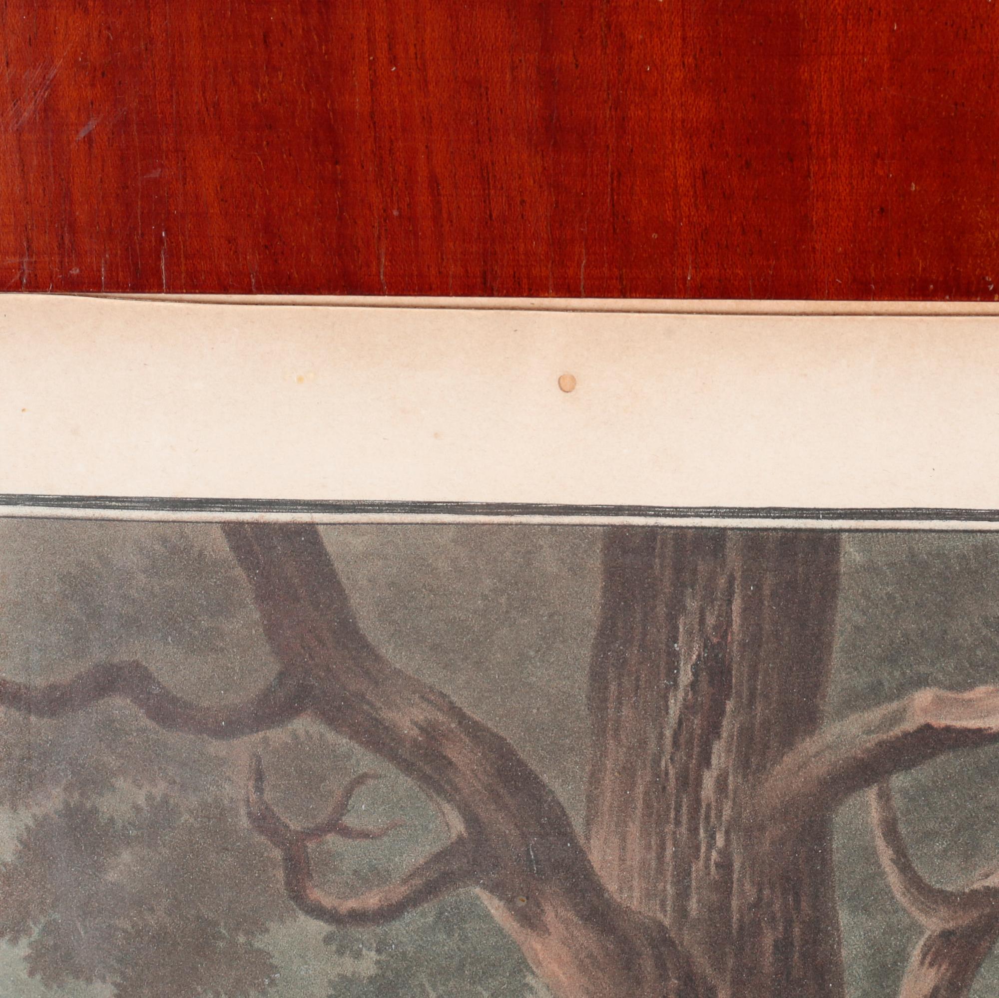 Six etchings in color by Charles-Melchior Descourtis after Jean-Frederic Schall, 18th or 19th century.