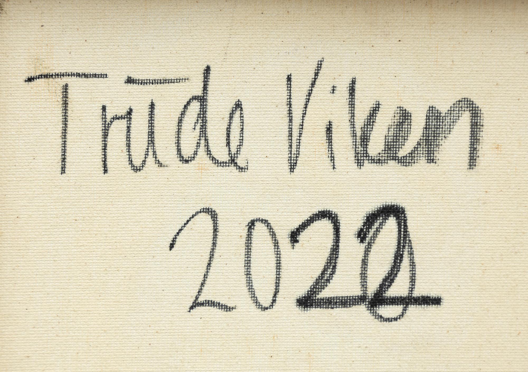 Trude Viken, "Diarynotes".