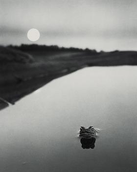 Here Far Away – Photographs by Pentti Sammallahti