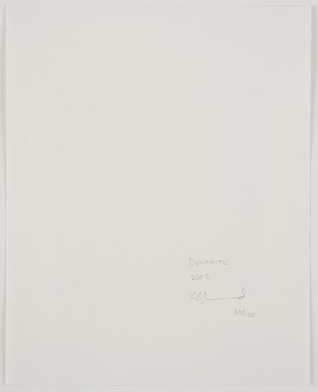 Zoe Leonard, "Dynamite", 2002.