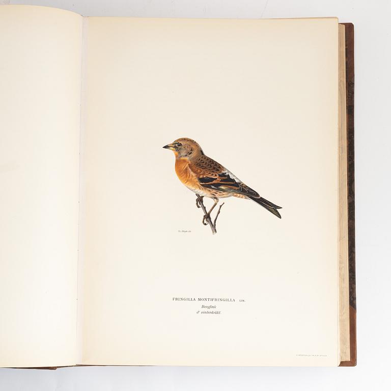 Books, 3, "Svenska fåglar" by von Wright.