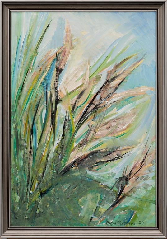 MARJA PERTTULA, öljy kankaalle, signeerattu ja päivätty -84.