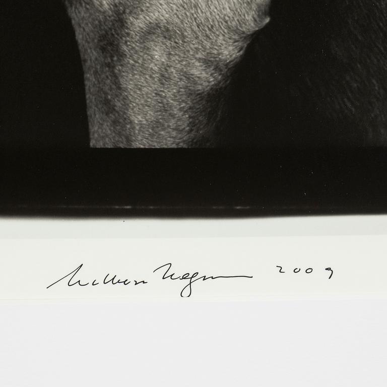 William Wegman, "Friends".