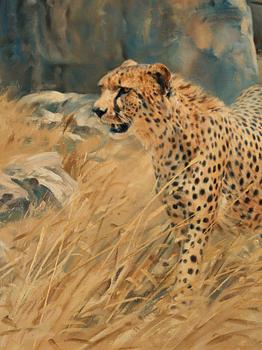 Donald Grant, Cheetah beside a cliff.