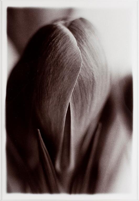 MONICA ENGLUND, Silvergelatinfotografi, sign a tergo.