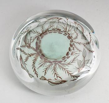 FAT, glas, Edward Hald, Graal no 8772, Orrefors, signerad.