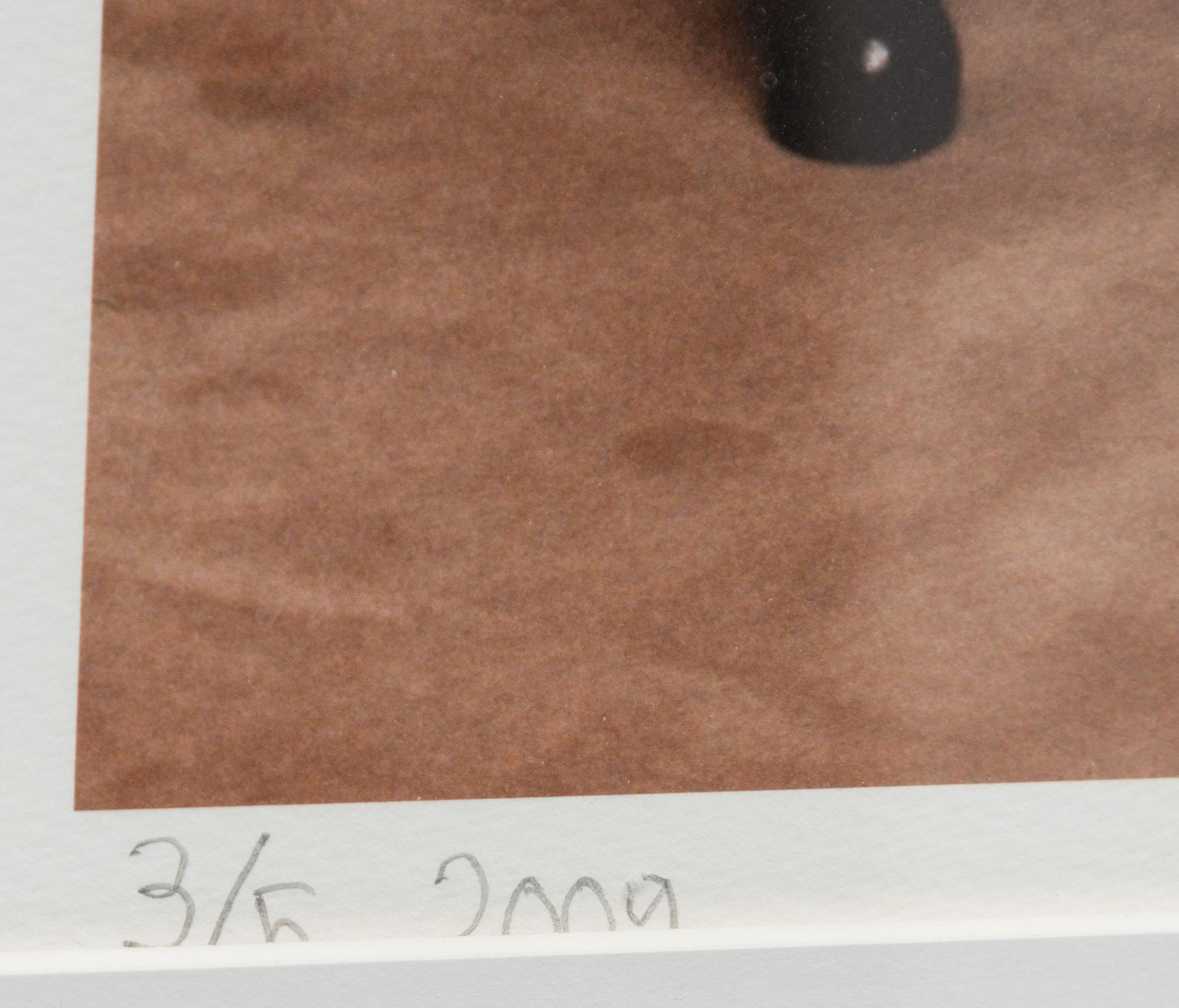 Torbjörn Calvero, "Don Van Vliet in Stockholm (Captain Beefheart)," 1975.