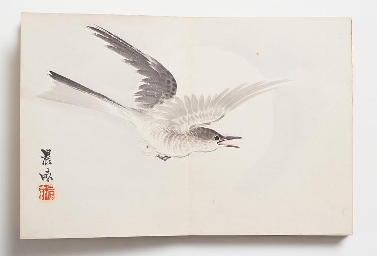 Album med akvareller av olika konstnärer, Japan, sen Meiji/tidig Taisho period.