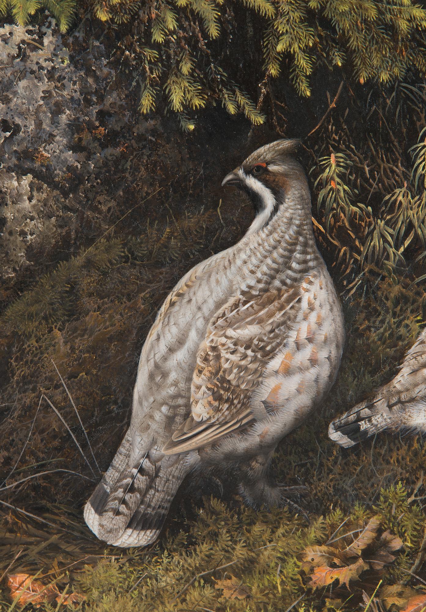 Teppo Terä, Bird pair in Forest.
