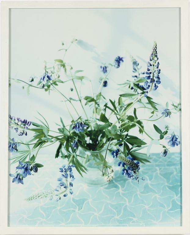 Denise Grünstein, photograph signed and numbered 7/75 verso.