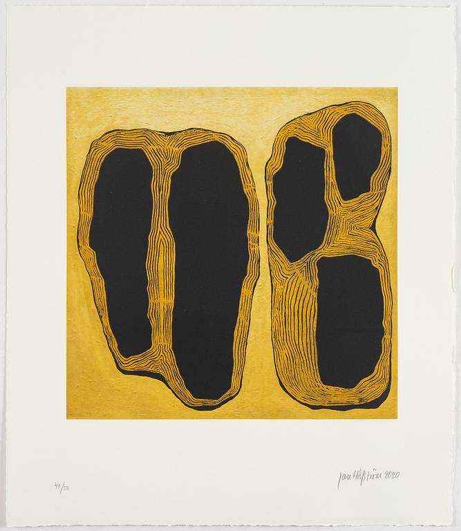 Jan Håfström, "Terra incognita".