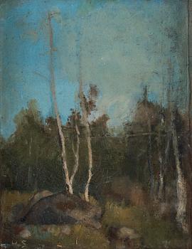 323. Helene Schjerfbeck, "Landskap med björkar".