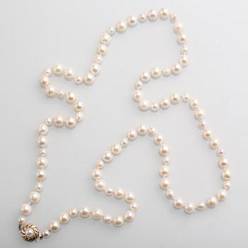 PÄRLCOLLIER, odlade pärlor med lås i 18 K guld.