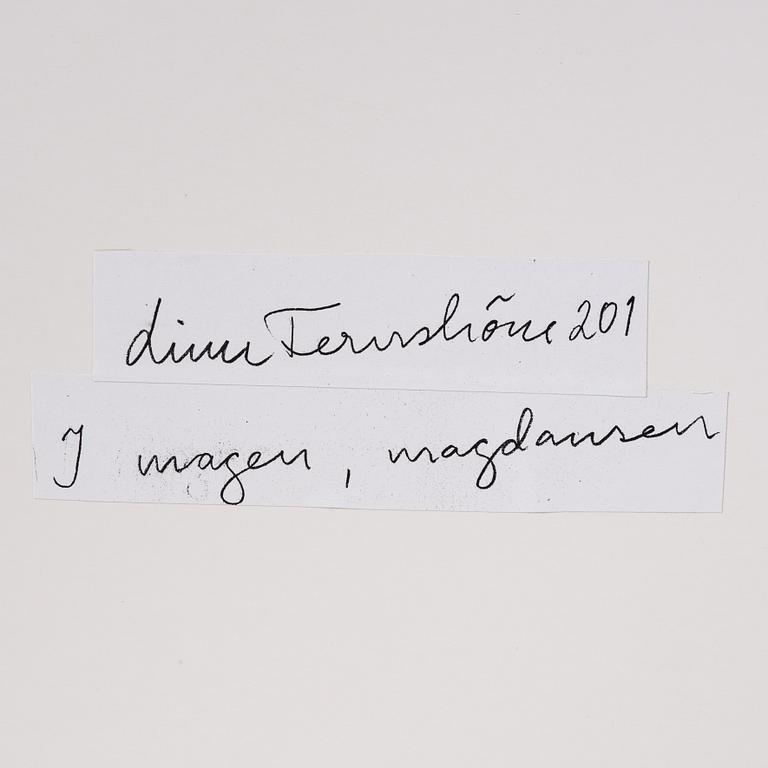 Linn Fernström, "I magen, magdansen".