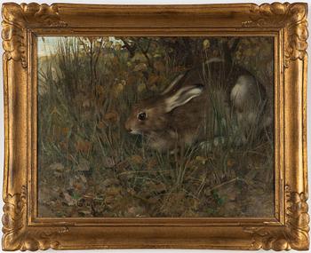 Paul Graf, Hare in the Grass.