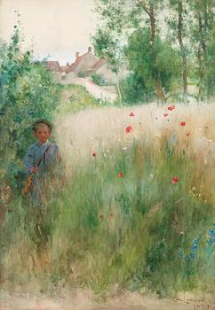 347. Carl Larsson, "Vallmor" / "Les coquelicots" (Poppies).