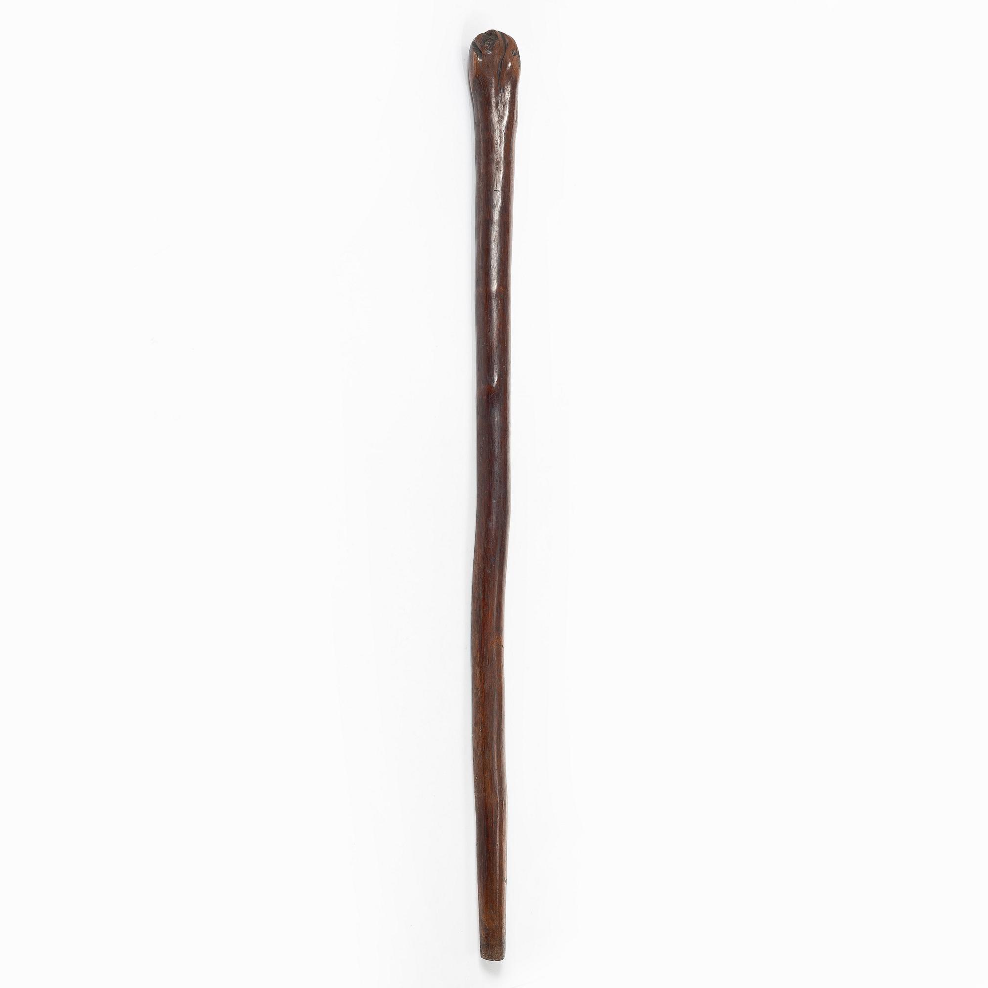 Käpp, möjligen England, 1800-tal.
