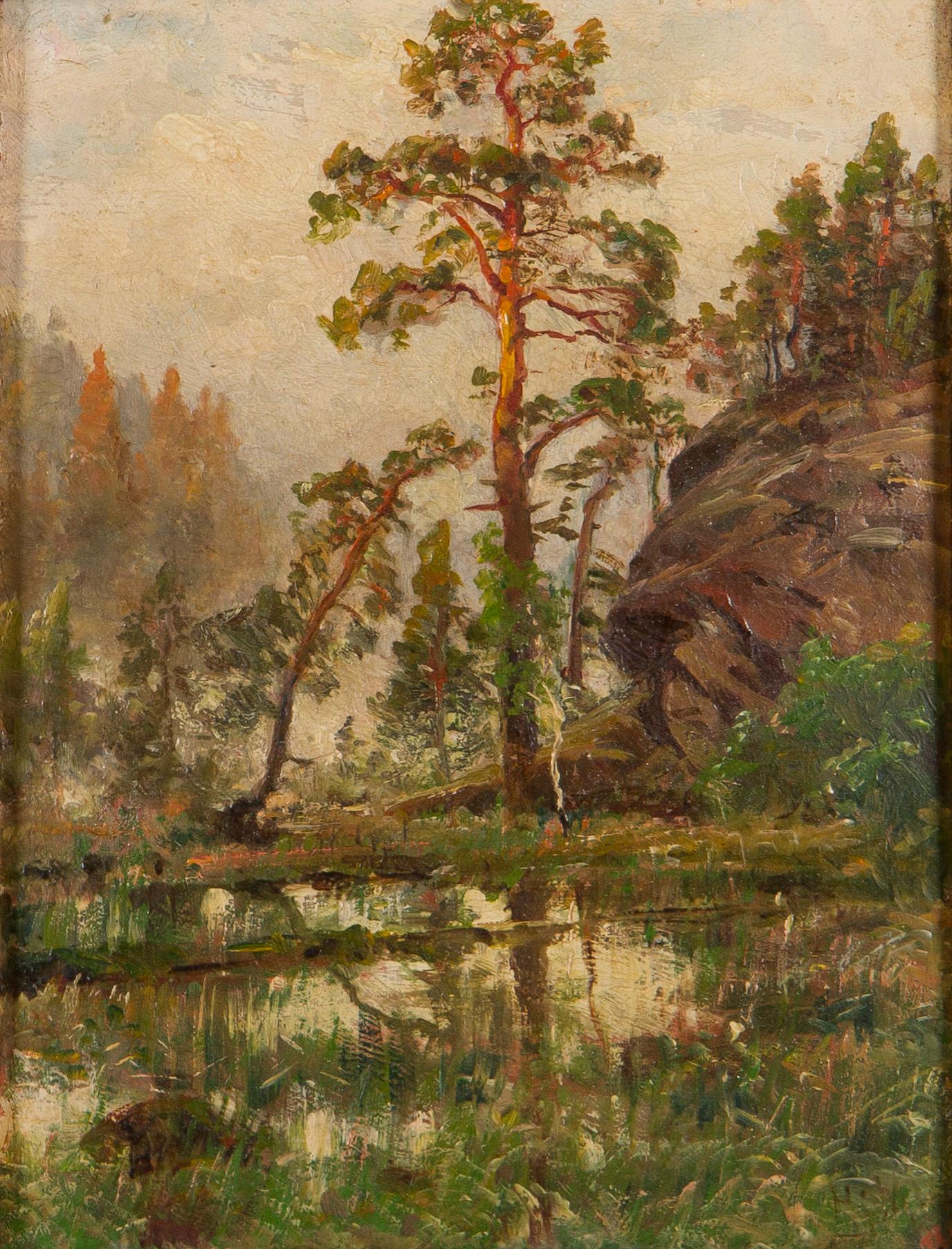 Hjalmar Munsterhjelm, Skogstjärn.