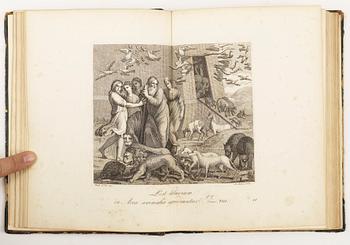 BOK, "Raccolta di cinqantadue quadretti dipinti a fresco da Raffaelle Sanzio d`Urbino..." Rom 1820.
