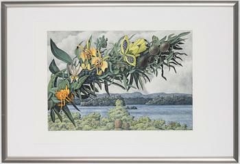 KARL AXEL PEHRSON, a colour lithograph, signed, dated -90.