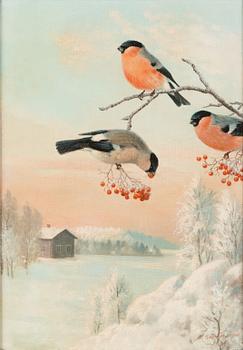 Matti Karppanen, Bullfinches on a branch.