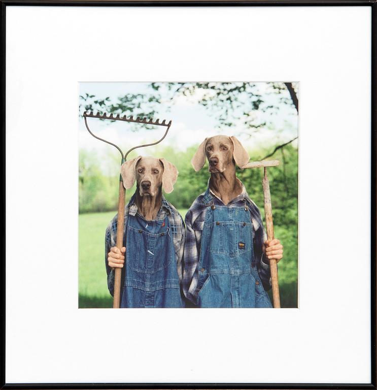 William Wegman, photograph signed numbered and dated on label a verso 37/250 1997.
