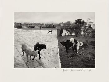 Pentti Sammallahti, "Istanbul, 1996".