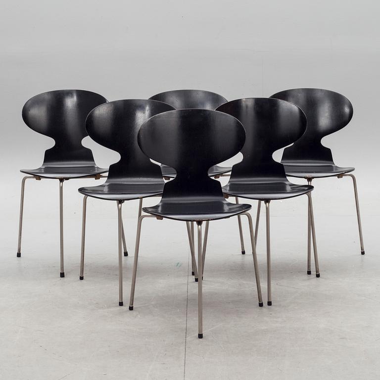 STOLAR, 6 st, "Myran", Arne Jacobsen för Fritz Hansen, 1950-tal.